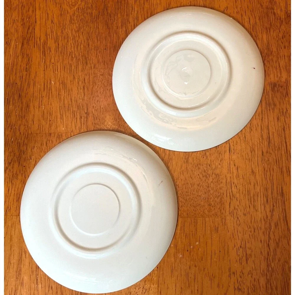 VTG BLUE RIDGE Southern Potteries ARLINGTON APPLE Plates Saucers USA 6”